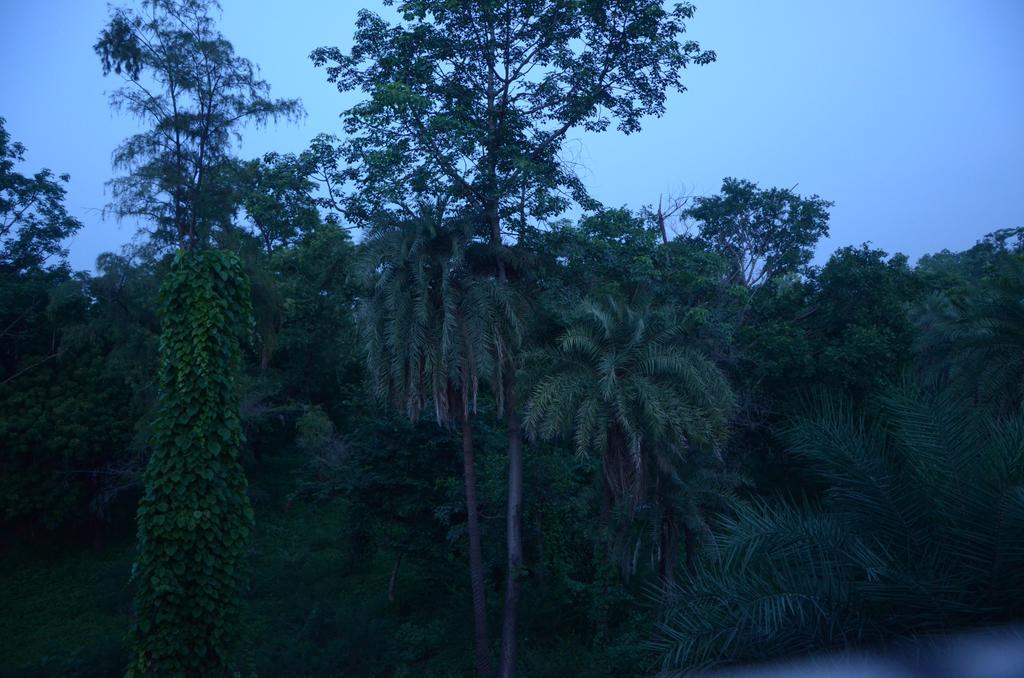 Su- Koon Homestay Agra  Esterno foto